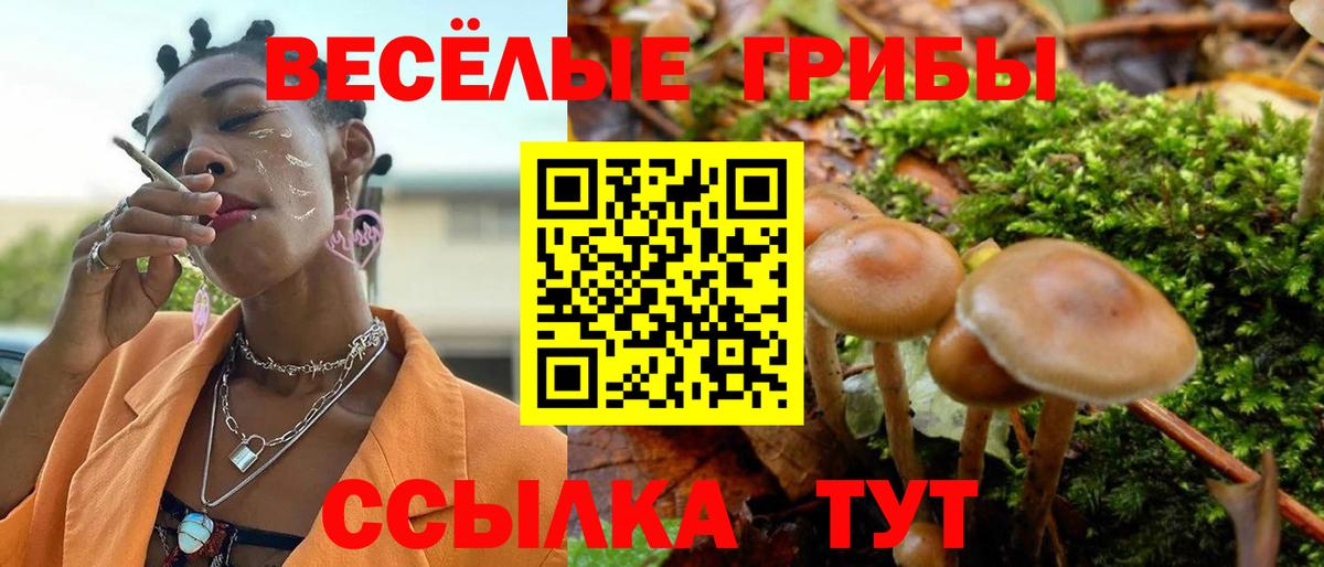 Галлюциногенные грибы Psilocybe  Вход с VPN  Кунгур 